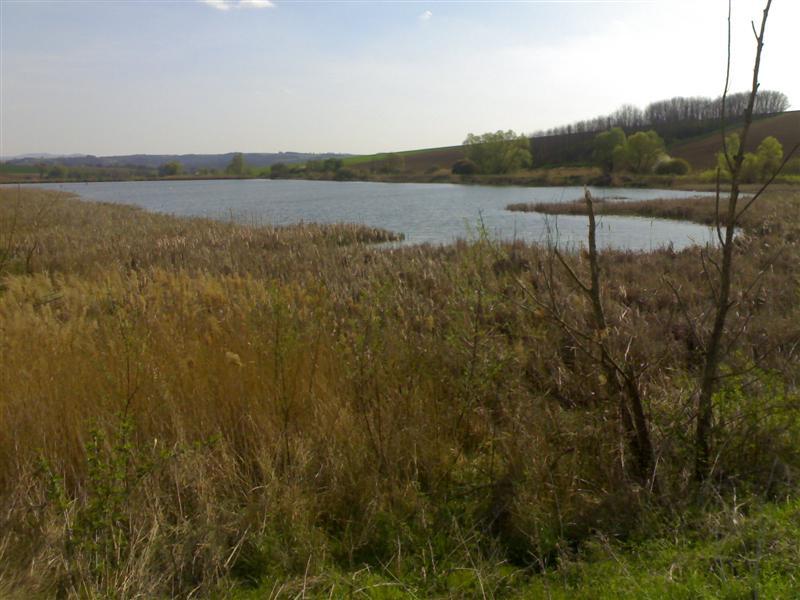 200704091668 .jpg
